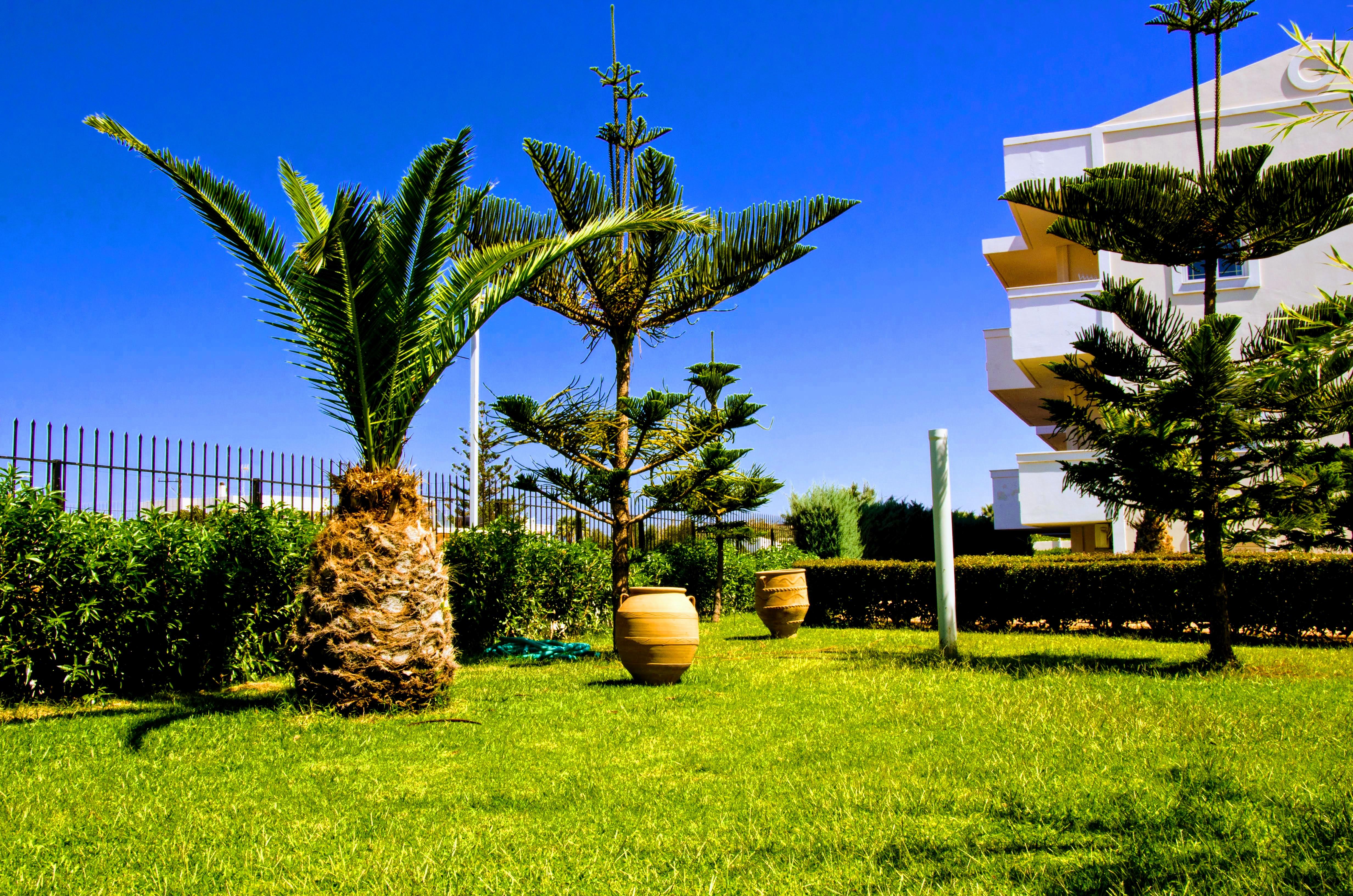 Yiannis Manos Hotel Resort Малія Екстер'єр фото