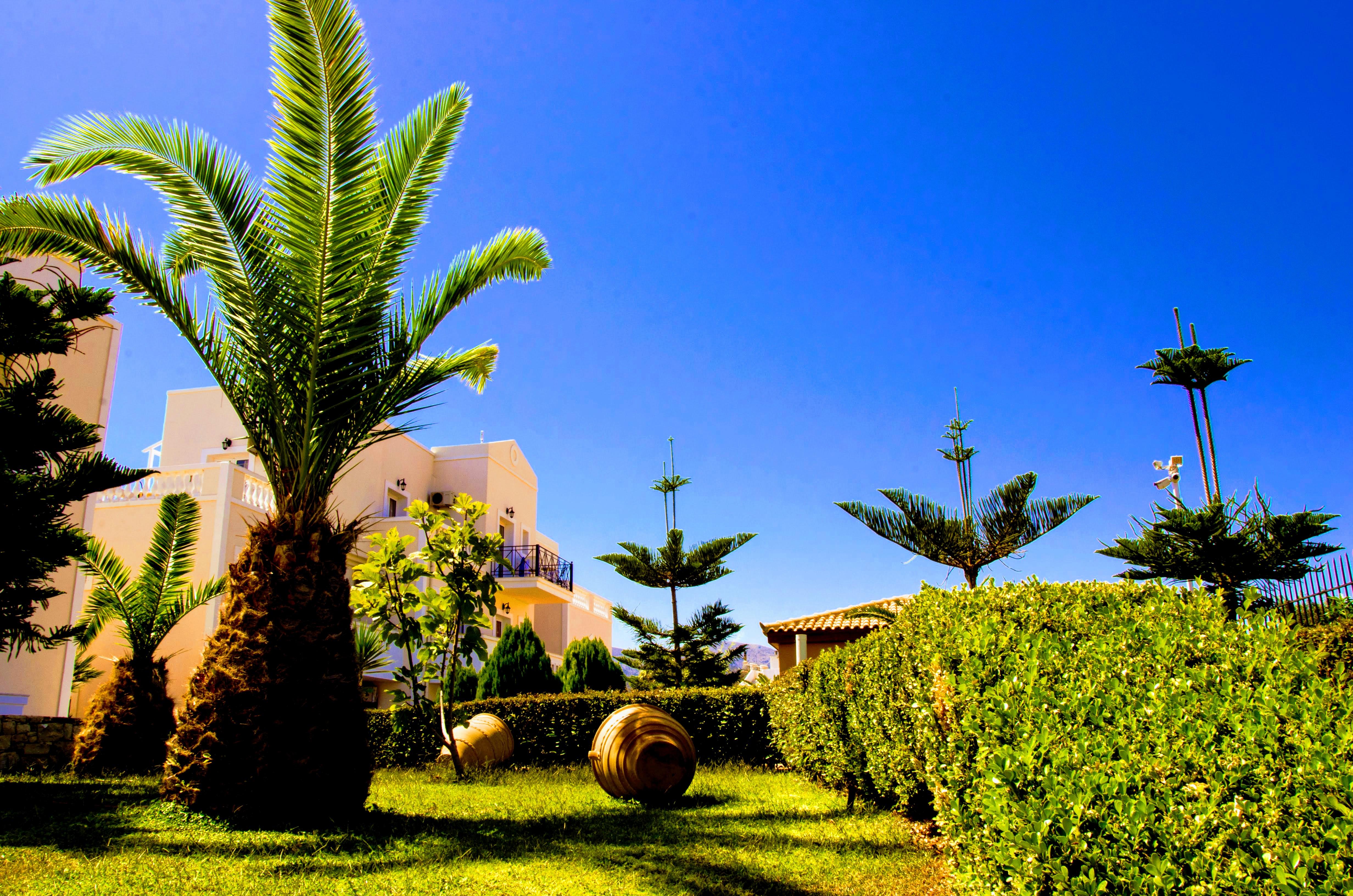 Yiannis Manos Hotel Resort Малія Екстер'єр фото
